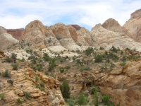 Capitol Reef